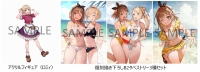 【PS5】ライザのアトリエ ～秘密トリロジー～ DX プレミアムボックス≪ゲーマーズ限定版 復刻描き下ろしB2タペストリー3種セット/アクリルフィギュア（ロミィ）付き≫