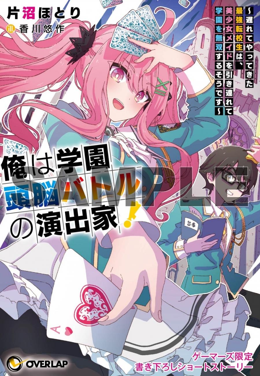 片沼ほとり 先生書き下ろし4Pブックレット