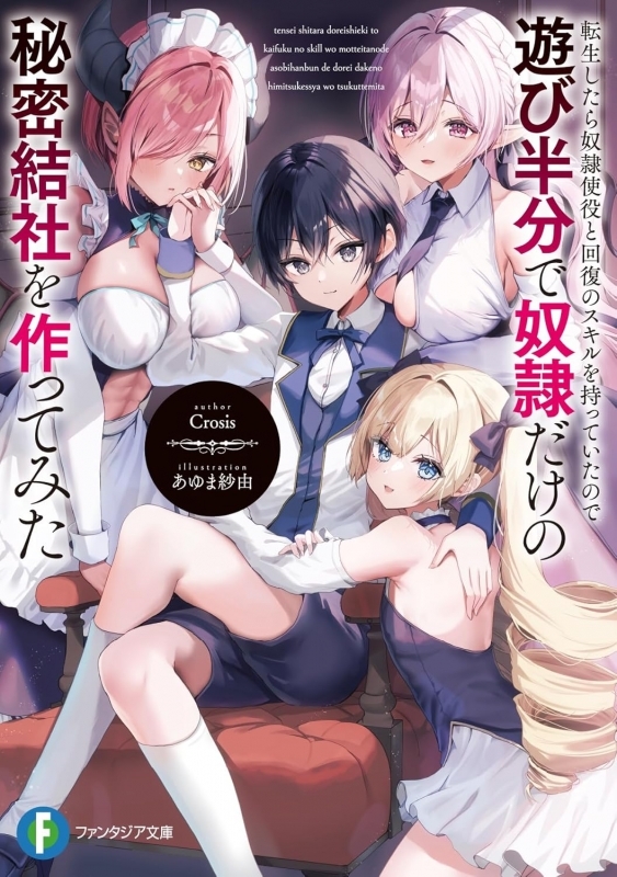 【小説】転生したら奴隷使役と回復のスキルを持っていたので遊び半分で奴隷だけの秘密結社を作ってみた