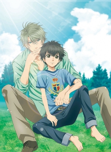 【DVD】TV SUPER LOVERS 第5巻 限定版