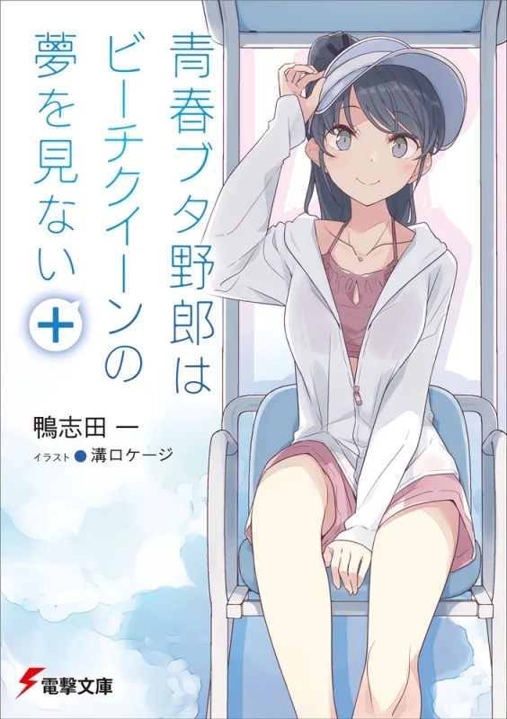 【小説】青春ブタ野郎はビーチクイーンの夢を見ない＋