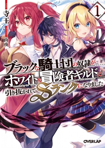 【小説】ブラックな騎士団の奴隷がホワイトな冒険者ギルドに引き抜かれてSランクになりました(1)