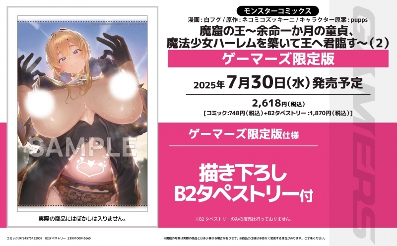 【コミック】魔窟の王～余命一か月の童貞、魔法少女ハーレムを築いて王へ君臨す～(2) ゲーマーズ限定版【描き下ろしB2タペストリー付】