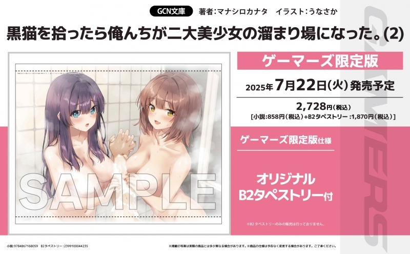 【小説】黒猫を拾ったら俺んちが二大美少女の溜まり場になった。(2) ゲーマーズ限定版【オリジナルB2タペストリー付】