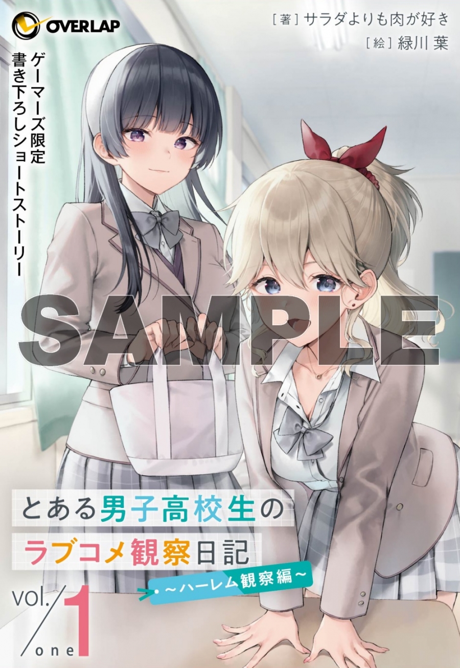 サラダよりも肉が好き先生書き下ろし4Pブックレット