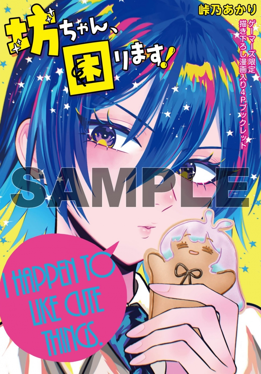 描き下ろし漫画入り4Pブックレット